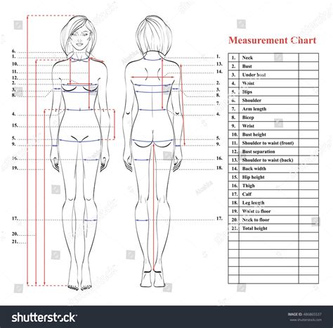 women's body measurements